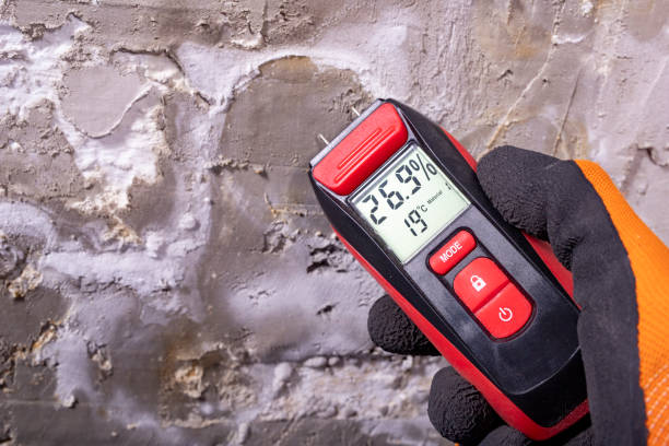 Mold Removal Process in East Sandwich, MA