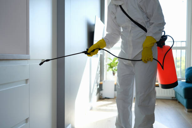 Best Emergency Mold Removal  in East Sandwich, MA