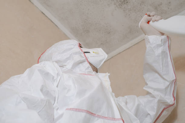 Best Toxic Mold Removal  in East Sandwich, MA